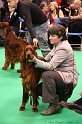 Crufts2011 442